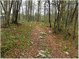 Izvir Ljubljanice (Močilnik) - Ljubljanski vrh